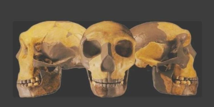 Mağarada bulunan kalıntılar bilinmeyen insan soyuna ilişkin çıktı