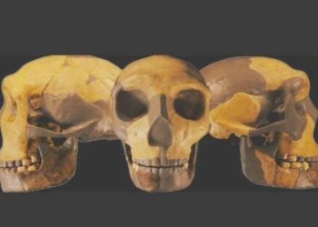 Mağarada bulunan kalıntılar bilinmeyen insan soyuna ilişkin çıktı