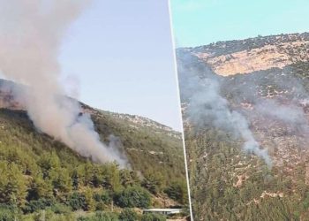 Mersin’de orman yangını: Takımların müdahalesi devam ediyor