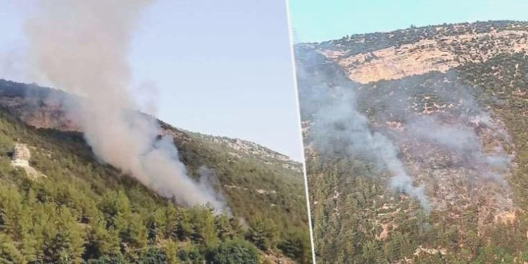 Mersin’de orman yangını: Takımların müdahalesi devam ediyor