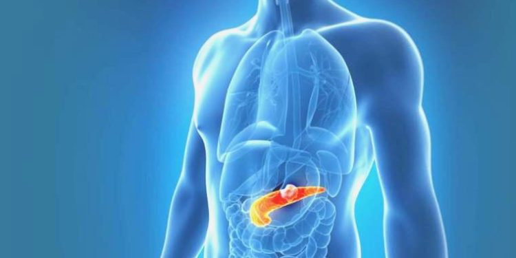 Meyan bitkisi, Pankreas kanseriyle uğraş etmeye yardımcı olabilir