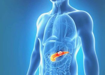 Meyan bitkisi, Pankreas kanseriyle uğraş etmeye yardımcı olabilir