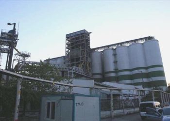 Patlamanın akabinde buğday krizi olacak mı? TMO Genel Müdürü Ahmet Güldal açıkladı