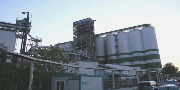 Patlamanın akabinde buğday krizi olacak mı? TMO Genel Müdürü Ahmet Güldal açıkladı