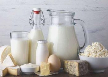 Peynir ve sütte ’brucella’ tehlikesi