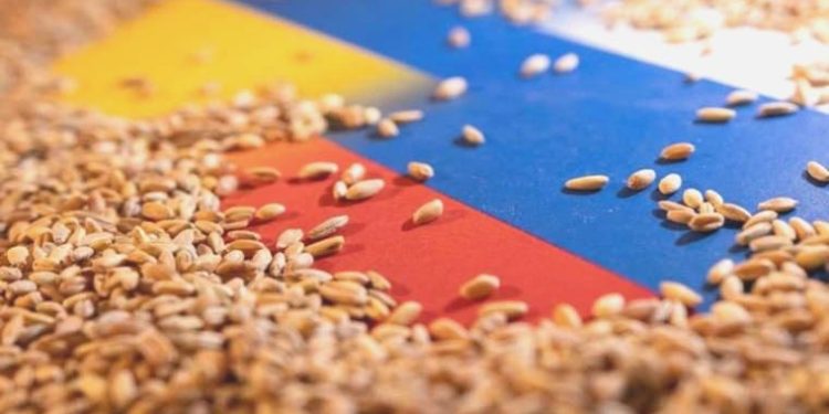 Rusya: ABD Karadeniz Tahıl Teşebbüsü konusunda gerçek durumu gizliyor