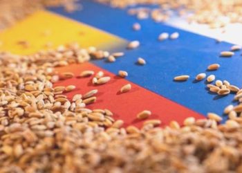 Rusya: ABD Karadeniz Tahıl Teşebbüsü konusunda gerçek durumu gizliyor