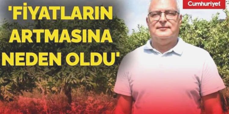 Sıcak hava dalgası yaz meyvelerini de vurdu; eserlerde ‘güneş yanığı’ oluştu