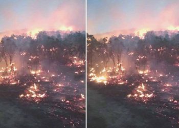 Siirt’te orman yangını: Birçok vilayetten takviye istendi