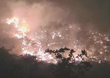 Siirt’teki orman yangını 15 saat sonra denetim altında