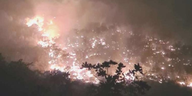 Siirt’teki orman yangını 15 saat sonra denetim altında