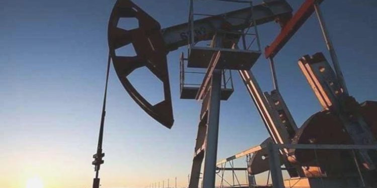 TPAO 5 yıl müddetle petrol arama ruhsatı aldı