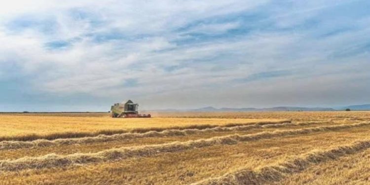 TÜİK açıkladı: Tarımda üretici enflasyonu sert yükseldi