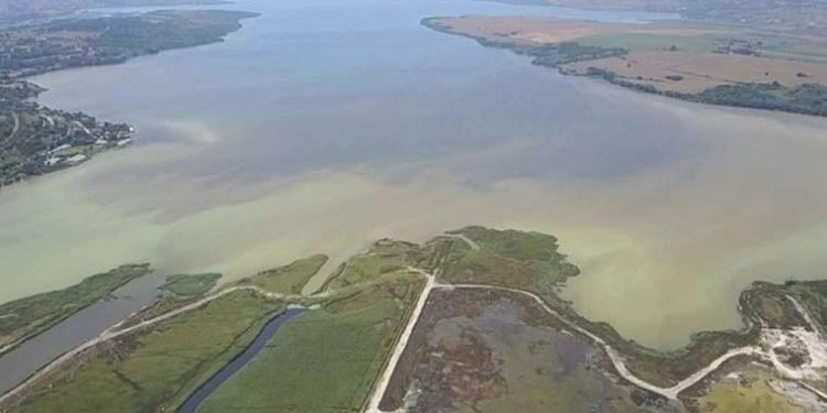 Uzmanlardan Küçükçekmece Gölü için kritik uyarı!