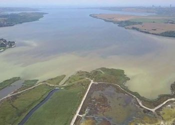 Uzmanlardan Küçükçekmece Gölü için kritik uyarı!