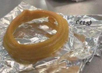 Yapay etin akabinde 3B yazıcı ile vegan deniz eseri bastılar