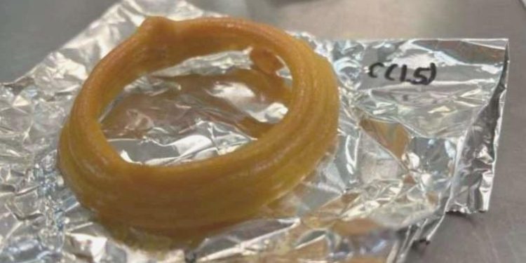 Yapay etin akabinde 3B yazıcı ile vegan deniz eseri bastılar