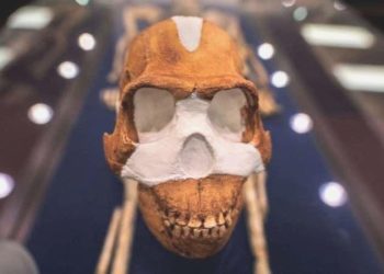 Yoksa cetlerimiz yamyam mıydı?