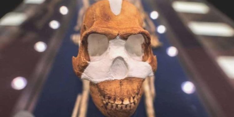 Yoksa cetlerimiz yamyam mıydı?