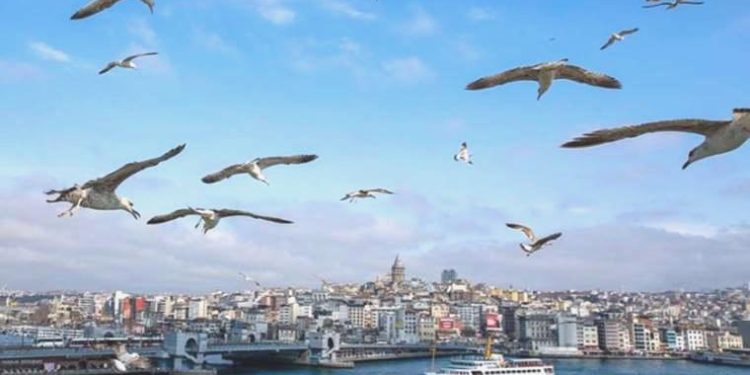 18 Ağustos 2023 hava durumu raporu… Meteoroloji açıkladı: Bugün hava nasıl olacak?