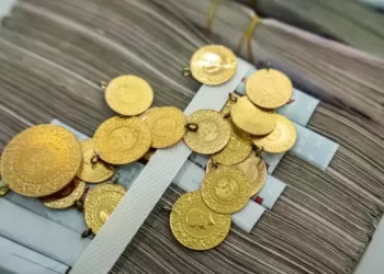 2024 yılı altın yılı mı olacak?