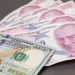 Ekonomistlerden Dolar/TL ve enflasyon beklentisi
