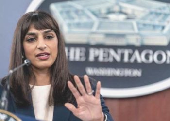 ABD’den Nijer açıklaması: Bölge için kritik bir ortak