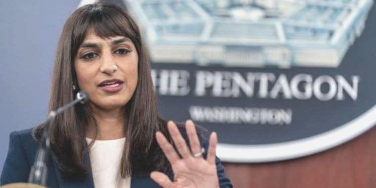 ABD’den Nijer açıklaması: Bölge için kritik bir ortak