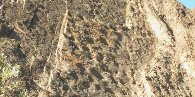 Alaska’da ‘jeolojik’ keşif: Dinazor ayak izleri ortaya çıktı