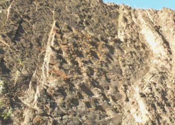 Alaska’da ‘jeolojik’ keşif: Dinozor ayak izleri ortaya çıktı