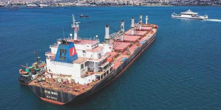 Alman basını: Rusya, Türkiye ve Katar yeni bir tahıl mutabakatı hazırlıyor