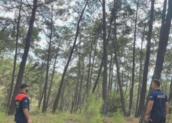 Antalya’da kayboldu: 72 yaşındaki turistten hala haber yok