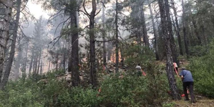 Antalya’daki orman yangını 21 saat sonra denetim altına alındı