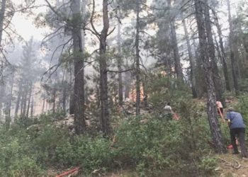 Antalya’daki orman yangınında ikinci gün!