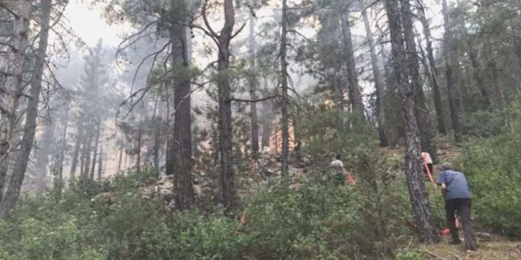 Antalya’daki orman yangınında ikinci gün!