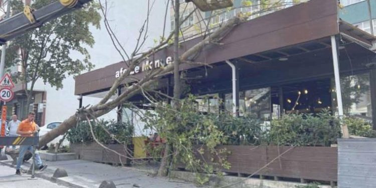Arnavutköy’de çınar ağacı kafenin üzerine devrildi!