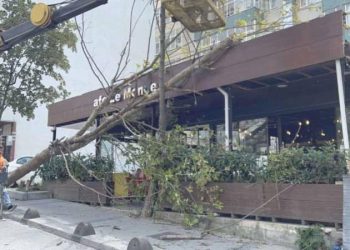 Arnavutköy’de çınar ağacı kafenin üzerine devrildi!
