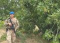 Aydın’da jandarma incir nöbetine başladı