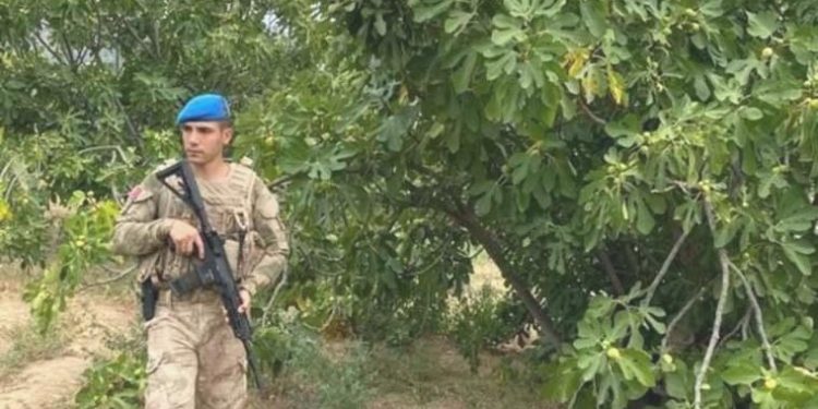 Aydın’da jandarma incir nöbetine başladı