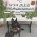 Aydın’da uyuşturucu operasyonu: 27 tutuklama