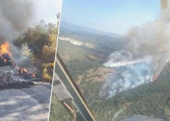 Balıkesir’de 30 hektarlık alanı küle çeviren yangının çıkış nedeni belirli oldu