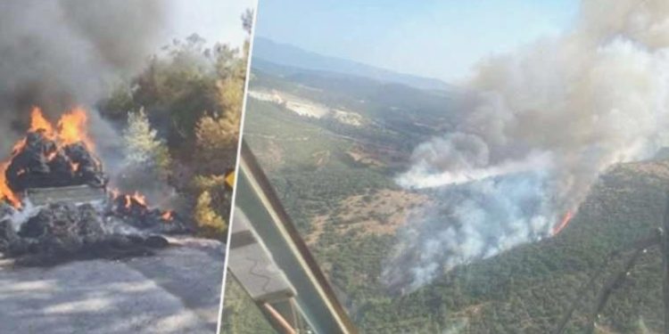 Balıkesir’de 30 hektarlık alanı küle çeviren yangının çıkış nedeni belirli oldu