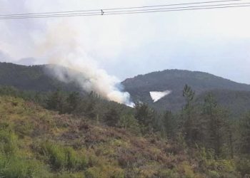 Bolu’da bir orman yangını daha çıktı!