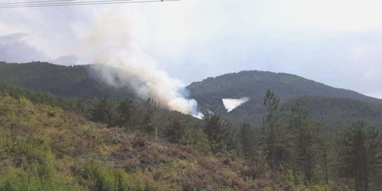 Bolu’da bir orman yangını daha çıktı!