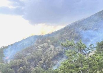 Bolu’daki yangın ikinci gününde devam ediyor: Bir yangın daha çıktı