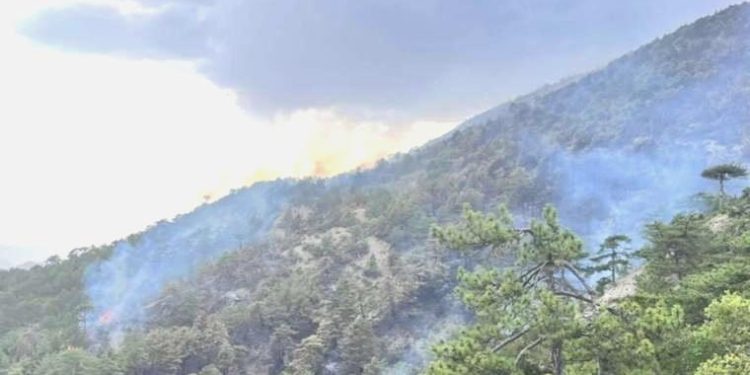 Bolu’daki yangın ikinci gününde devam ediyor: Bir yangın daha çıktı