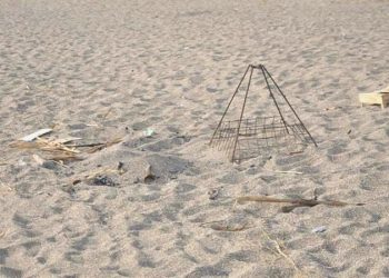 Caretta caretta yuvası üzerinde mangal yakan 2 bireye para cezası