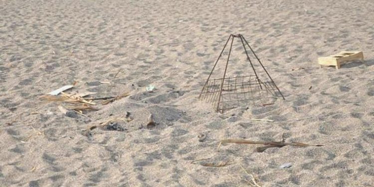 Caretta caretta yuvası üzerinde mangal yakan 2 şahsa para cezası