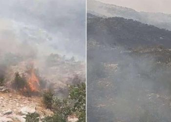 Diyarbakır’da orman yangını!