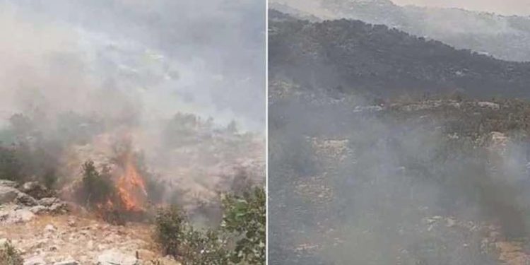 Diyarbakır’da orman yangını!